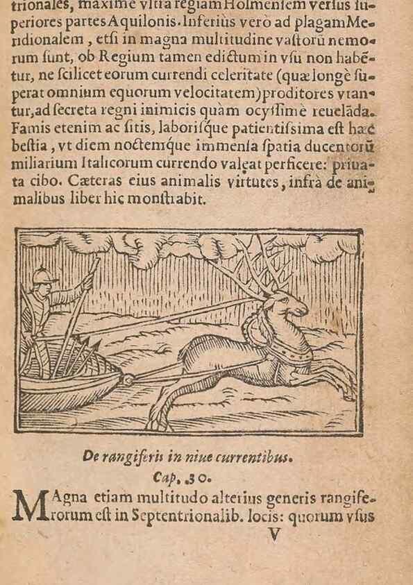 Reproducción/Reproduction 15014866104: Historiae de gentibus septentrionalibus /. Antverpiae :Apud Ioannem Bellerum,[ca. 1557]