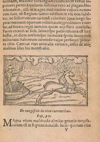Reproducción/Reproduction 15014866104: Historiae de gentibus septentrionalibus /. Antverpiae :Apud Ioannem Bellerum,[ca. 1557]