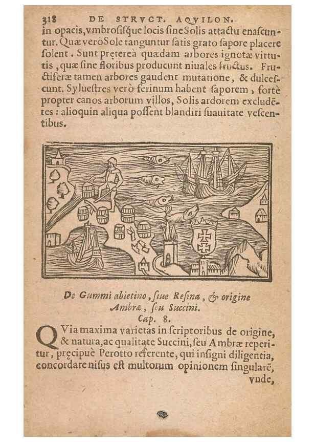 Reproducción/Reproduction 15014896044: Historiae de gentibus septentrionalibus /. Antverpiae :Apud Ioannem Bellerum,[ca. 1557]