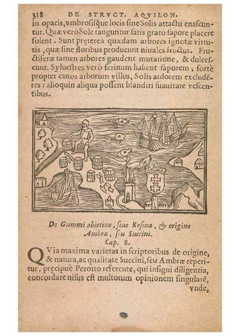 Reproducción/Reproduction 15014896044: Historiae de gentibus septentrionalibus /. Antverpiae :Apud Ioannem Bellerum,[ca. 1557]
