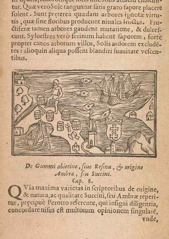 Reproducción/Reproduction 15014896044: Historiae de gentibus septentrionalibus /. Antverpiae :Apud Ioannem Bellerum,[ca. 1557]