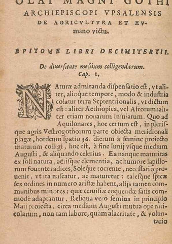 Reproducción/Reproduction 15014900624: Historiae de gentibus septentrionalibus /. Antverpiae :Apud Ioannem Bellerum,[ca. 1557]