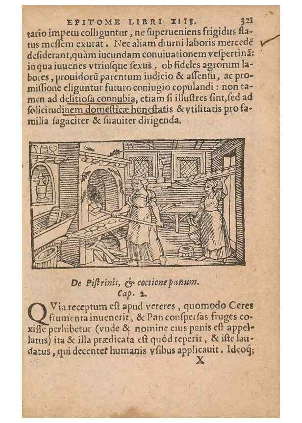 Reproducción/Reproduction 15636496522: Historiae de gentibus septentrionalibus /. Antverpiae :Apud Ioannem Bellerum,[ca. 1557]