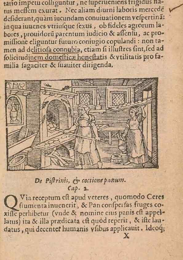 Reproducción/Reproduction 15636496522: Historiae de gentibus septentrionalibus /. Antverpiae :Apud Ioannem Bellerum,[ca. 1557]