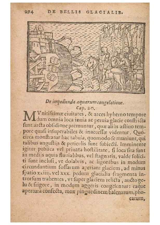 Reproducción/Reproduction 15448964329: Historiae de gentibus septentrionalibus /. Antverpiae :Apud Ioannem Bellerum,[ca. 1557]