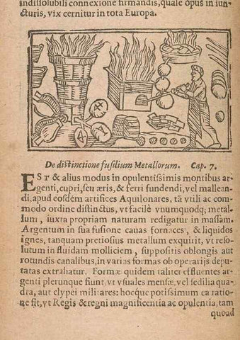 Reproducción/Reproduction 15611750846: Historiae de gentibus septentrionalibus /. Antverpiae :Apud Ioannem Bellerum,[ca. 1557]