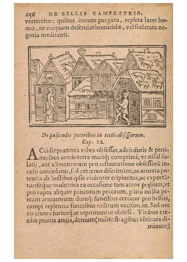Reproducción/Reproduction 15632880891: Historiae de gentibus septentrionalibus /. Antverpiae :Apud Ioannem Bellerum,[ca. 1557]