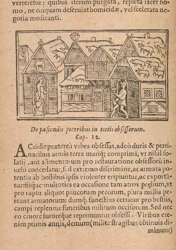 Reproducción/Reproduction 15632880891: Historiae de gentibus septentrionalibus /. Antverpiae :Apud Ioannem Bellerum,[ca. 1557]