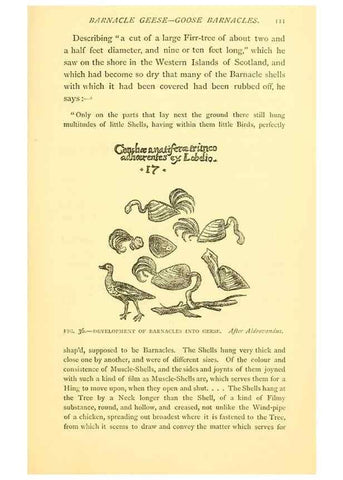 Reproducción/Reproduction 15563906286: Sea fables explained /. London :W. Clowes and sons, ltd.,1883.