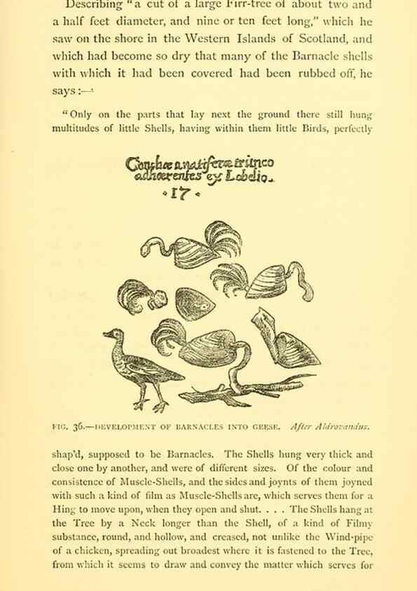 Reproducción/Reproduction 15563906286: Sea fables explained /. London :W. Clowes and sons, ltd.,1883.
