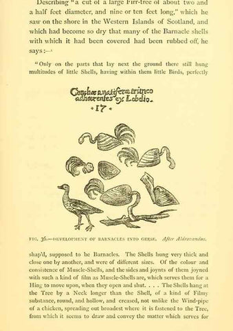 Reproducción/Reproduction 15563906286: Sea fables explained /. London :W. Clowes and sons, ltd.,1883.