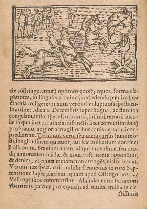 Reproducción/Reproduction 15015068933: Historiae de gentibus septentrionalibus /. Antverpiae :Apud Ioannem Bellerum,[ca. 1557]