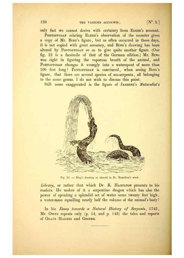 Reproducción/Reproduction 15410177838: The great sea-serpent.. Leiden :E. J. Brill;[1892]