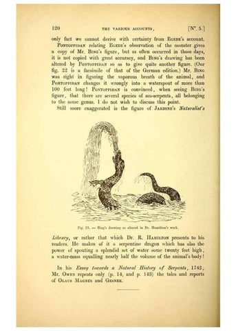 Reproducción/Reproduction 15410177838: The great sea-serpent.. Leiden :E. J. Brill;[1892]