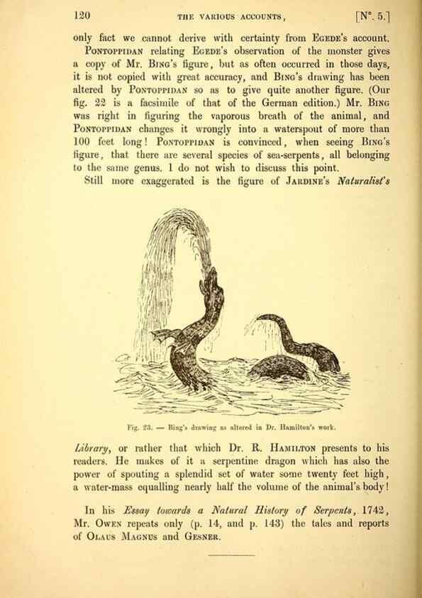Reproducción/Reproduction 15410177838: The great sea-serpent.. Leiden :E. J. Brill;[1892]