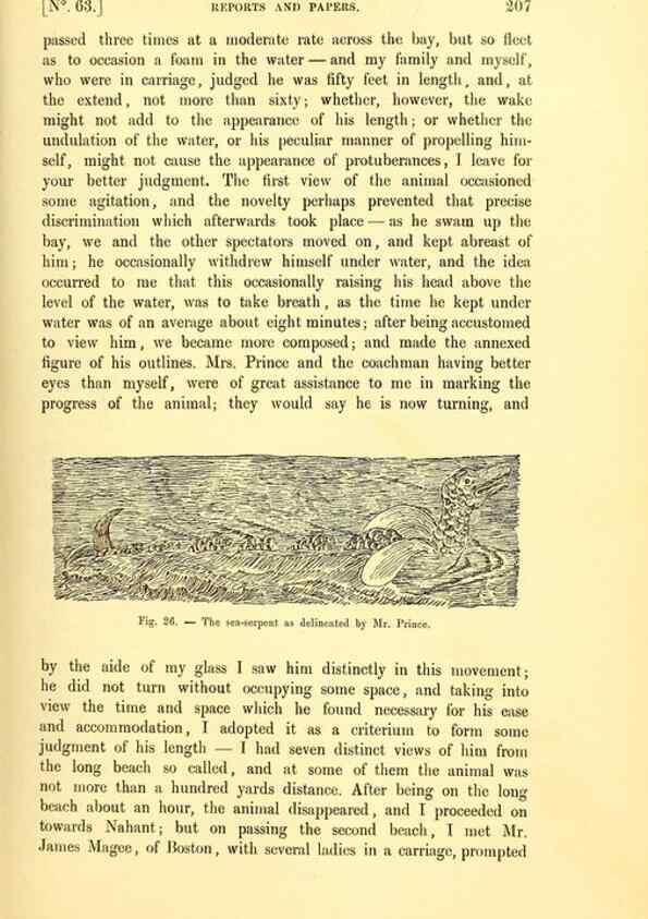 Reproducción/Reproduction 14976137143: The great sea-serpent.. Leiden :E. J. Brill;[1892]