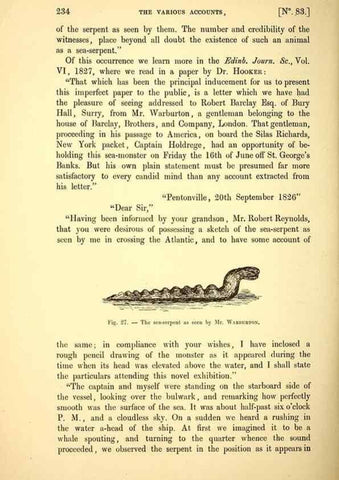 Reproducción/Reproduction 15410183848: The great sea-serpent.. Leiden :E. J. Brill;[1892]