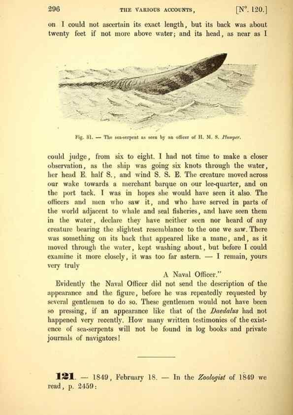 Reproducción/Reproduction 15572612276: The great sea-serpent.. Leiden :E. J. Brill;[1892]