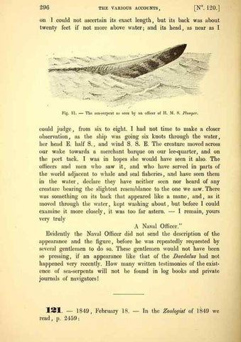 Reproducción/Reproduction 15572612276: The great sea-serpent.. Leiden :E. J. Brill;[1892]