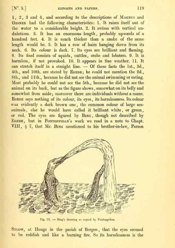 Reproducción/Reproduction 15410669450: The great sea-serpent.. Leiden :E. J. Brill;[1892]