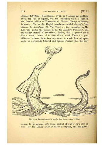 Reproducción/Reproduction 15410173238: The great sea-serpent.. Leiden :E. J. Brill;[1892]