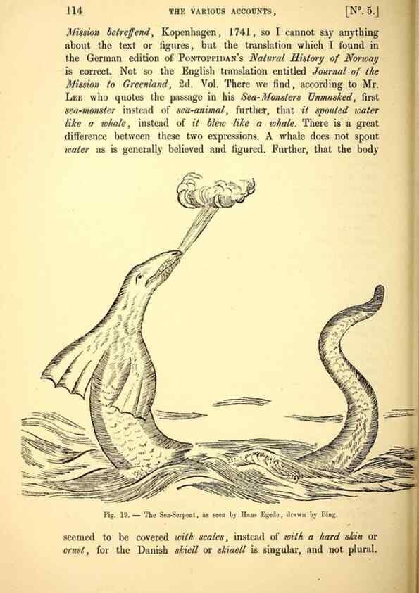 Reproducción/Reproduction 15410173238: The great sea-serpent.. Leiden :E. J. Brill;[1892]