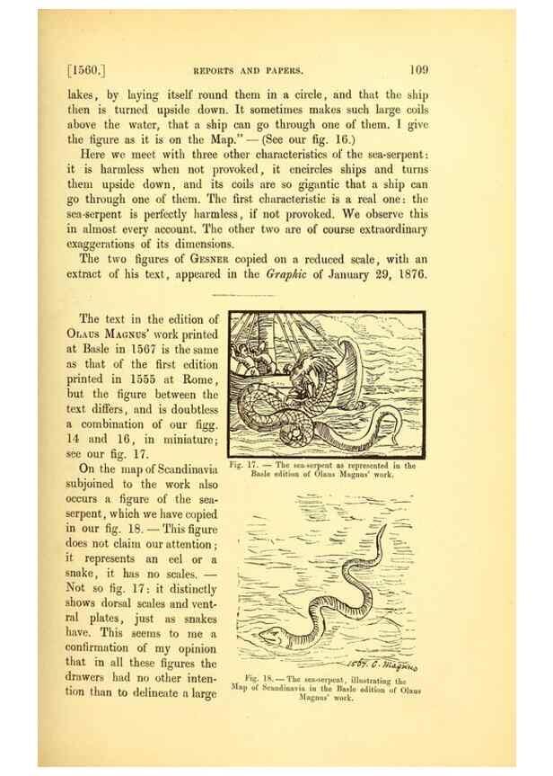 Reproducción/Reproduction 15597116802: The great sea-serpent.. Leiden :E. J. Brill;[1892]