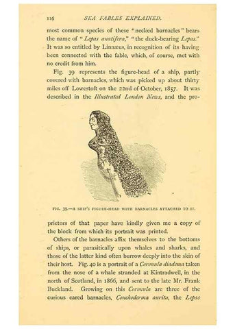 Reproducción/Reproduction 14966852514: Sea fables explained /. London :W. Clowes and sons, ltd.,1883.