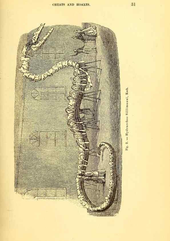 Reproducción/Reproduction 15410646990: The great sea-serpent.. Leiden :E. J. Brill;[1892]