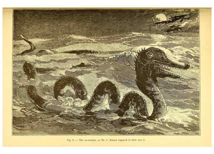 Reproducción/Reproduction 15410650530: The great sea-serpent.. Leiden :E. J. Brill;[1892]