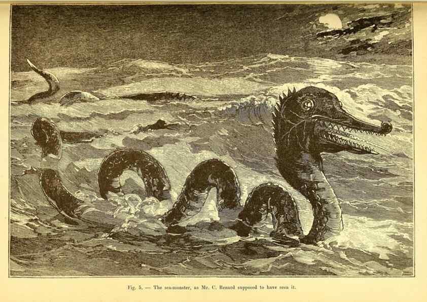 Reproducción/Reproduction 15410650530: The great sea-serpent.. Leiden :E. J. Brill;[1892]