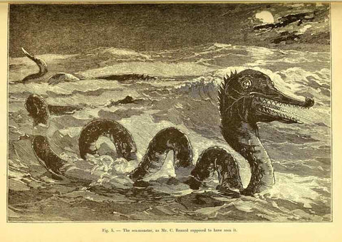 Reproducción/Reproduction 15410650530: The great sea-serpent.. Leiden :E. J. Brill;[1892]