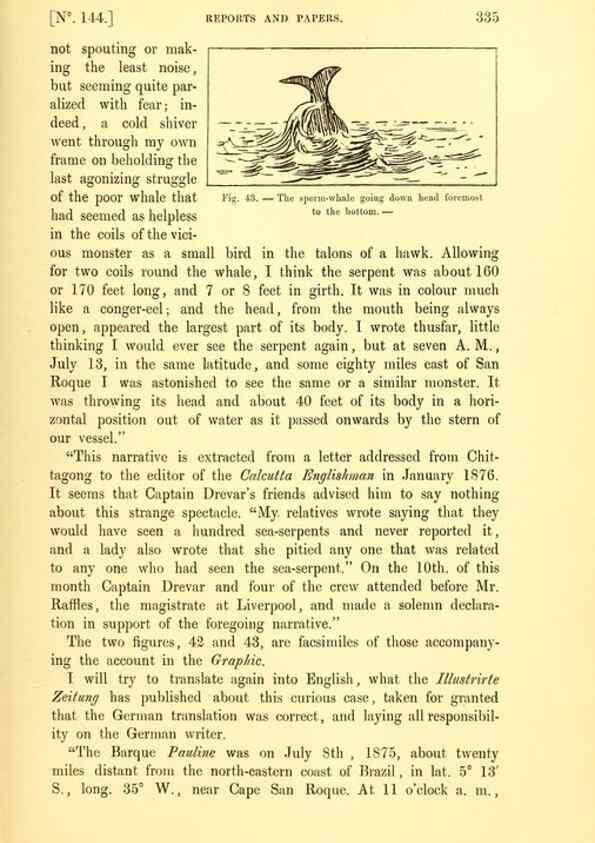Reproducción/Reproduction 15593669821: The great sea-serpent.. Leiden :E. J. Brill;[1892]