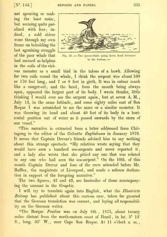 Reproducción/Reproduction 15593669821: The great sea-serpent.. Leiden :E. J. Brill;[1892]