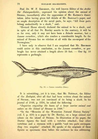 Reproducción/Reproduction 15572583976: The great sea-serpent.. Leiden :E. J. Brill;[1892]