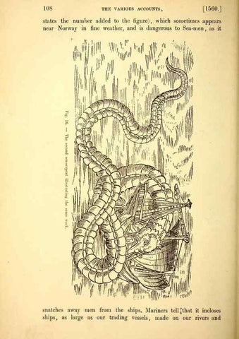 Reproducción/Reproduction 15572592606: The great sea-serpent.. Leiden :E. J. Brill;[1892]