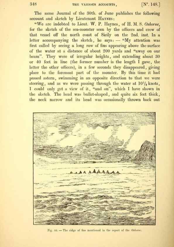 Reproducción/Reproduction 14975603984: The great sea-serpent.. Leiden :E. J. Brill;[1892]