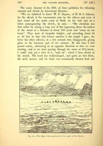 Reproducción/Reproduction 14975603984: The great sea-serpent.. Leiden :E. J. Brill;[1892]