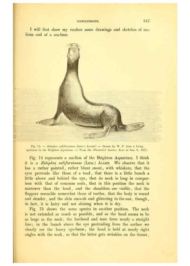 Reproducción/Reproduction 14975637244: The great sea-serpent.. Leiden :E. J. Brill;[1892]