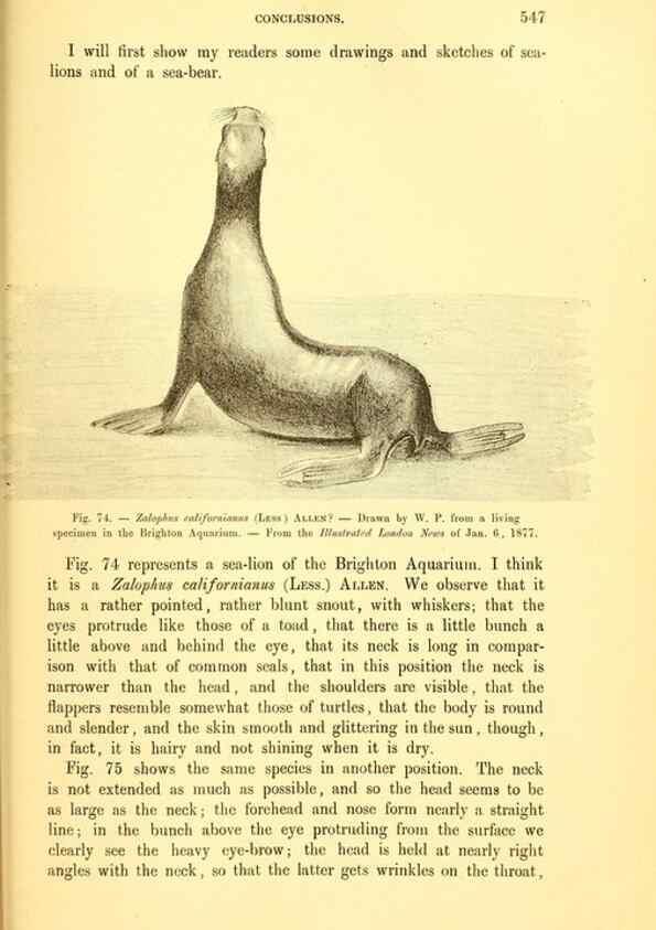 Reproducción/Reproduction 14975637244: The great sea-serpent.. Leiden :E. J. Brill;[1892]