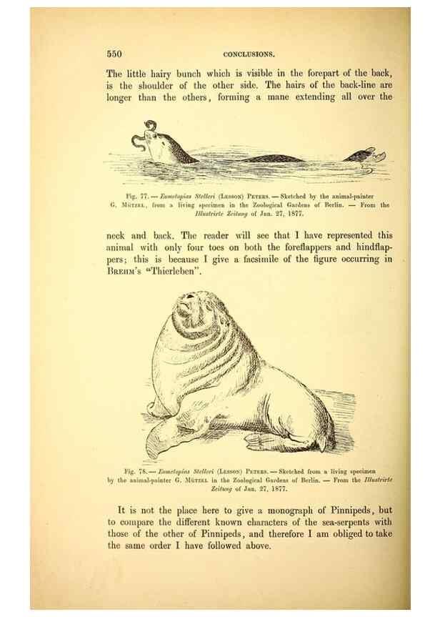 Reproducción/Reproduction 14976226543: The great sea-serpent.. Leiden :E. J. Brill;[1892]