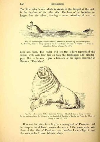 Reproducción/Reproduction 14976226543: The great sea-serpent.. Leiden :E. J. Brill;[1892]
