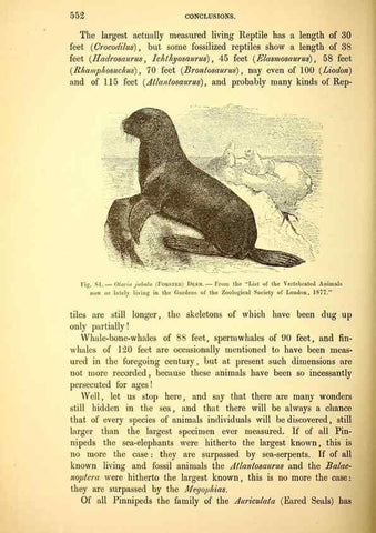 Reproducción/Reproduction 14976229543: The great sea-serpent.. Leiden :E. J. Brill;[1892]
