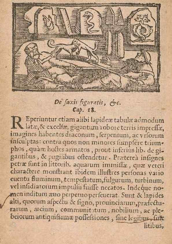 Reproducción/Reproduction 15449605640: Historiae de gentibus septentrionalibus /. Antverpiae :Apud Ioannem Bellerum,[ca. 1557]