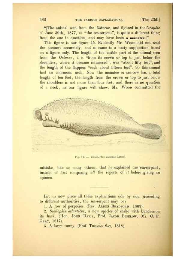Reproducción/Reproduction 15572681846: The great sea-serpent.. Leiden :E. J. Brill;[1892]