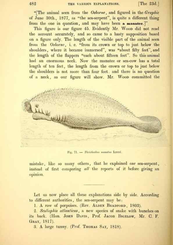 Reproducción/Reproduction 15572681846: The great sea-serpent.. Leiden :E. J. Brill;[1892]