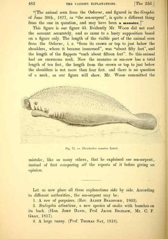Reproducción/Reproduction 15572681846: The great sea-serpent.. Leiden :E. J. Brill;[1892]