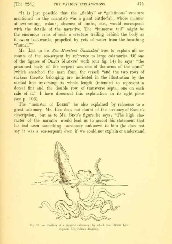 Reproducción/Reproduction 14975632684: The great sea-serpent.. Leiden :E. J. Brill;[1892]