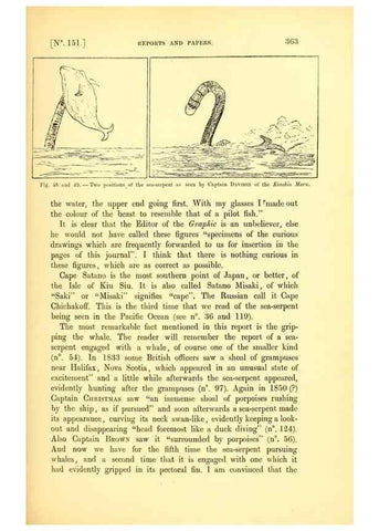Reproducción/Reproduction 15410233808: The great sea-serpent.. Leiden :E. J. Brill;[1892]