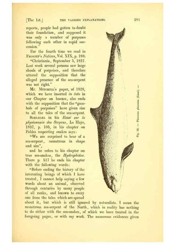 Reproducción/Reproduction 14976189943: The great sea-serpent.. Leiden :E. J. Brill;[1892]